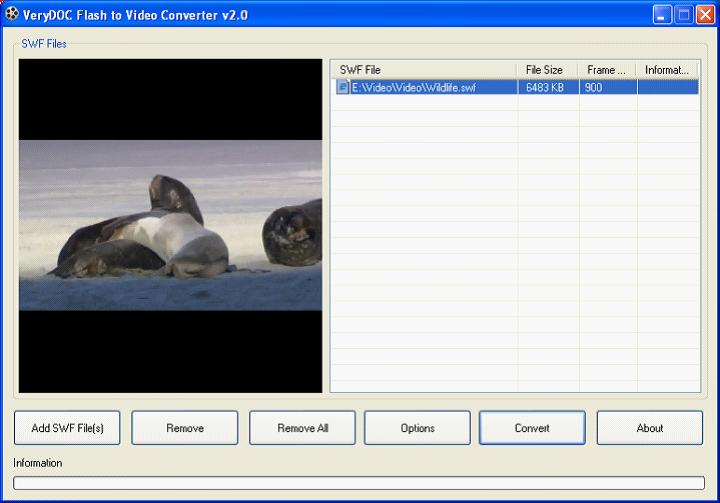Flash to Video Converter