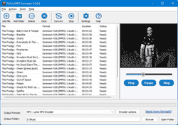 FLV to MP3 Converter