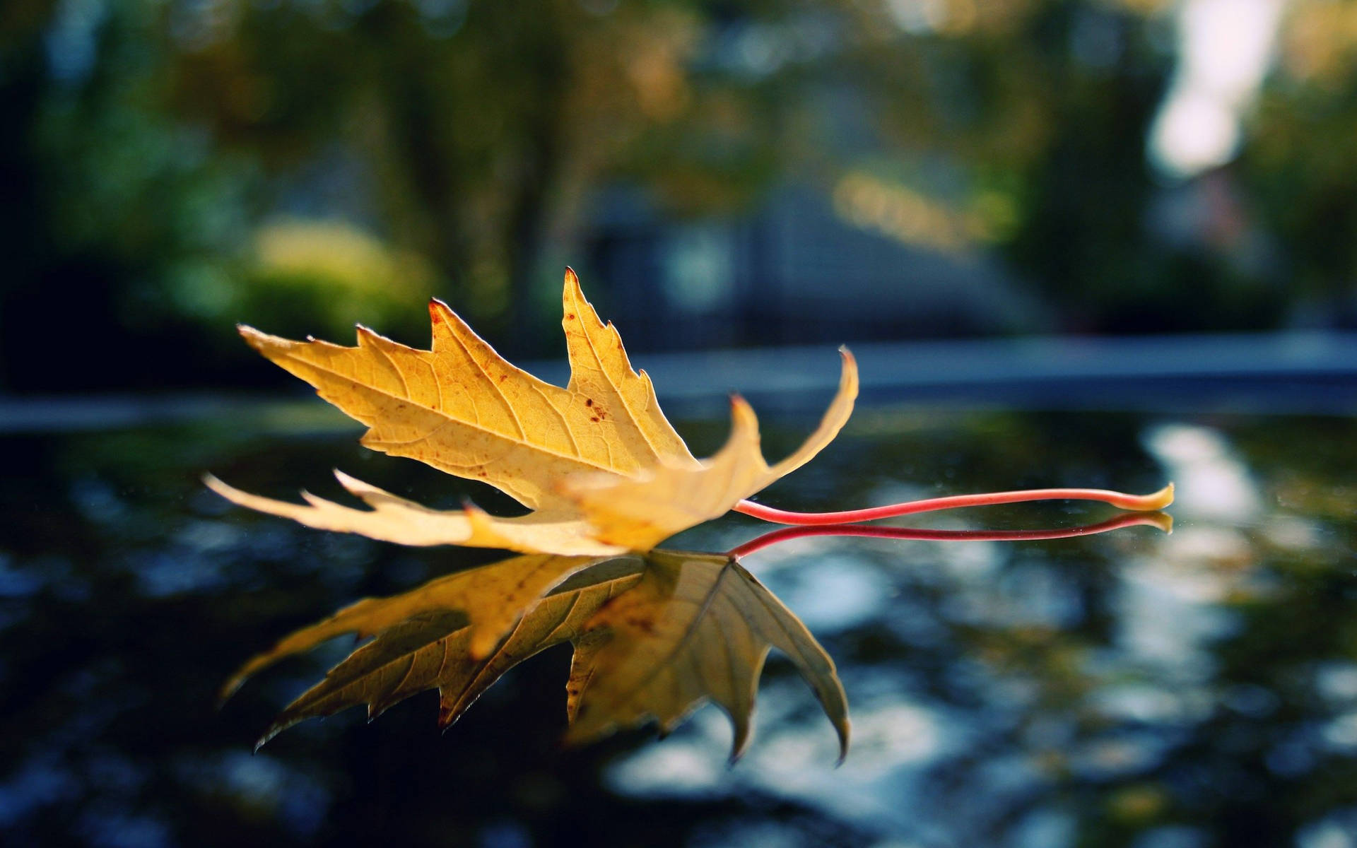 HD Wallpaper Finder