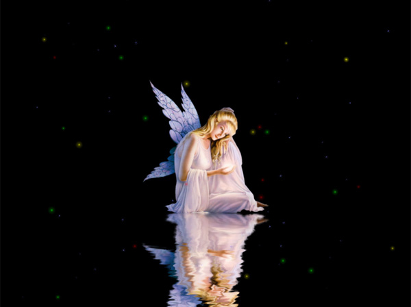 Fairy Animated Wallpaper tool
