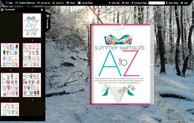 Flash flip book template of Snow
