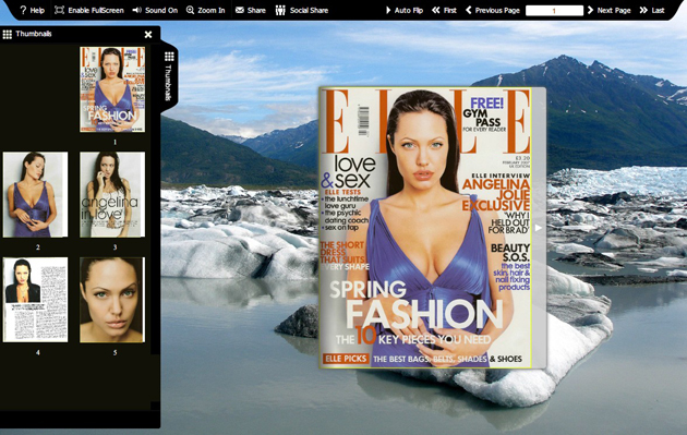 Flash flip book template of Snapshot