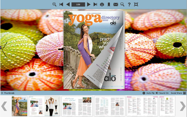 Exquisite Shell Flash Templates