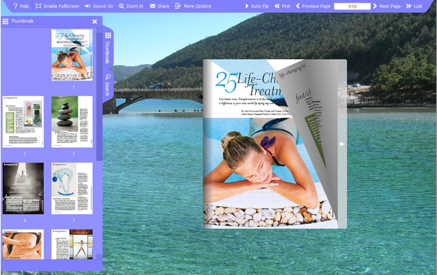 Flash flip book theme of Bridge