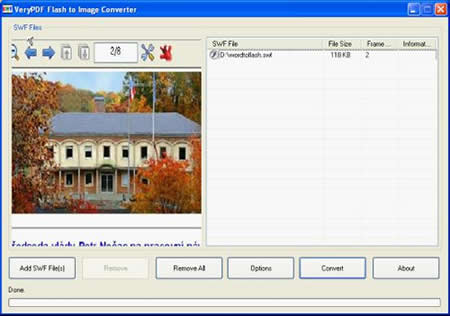 Flash Video to Image Converter