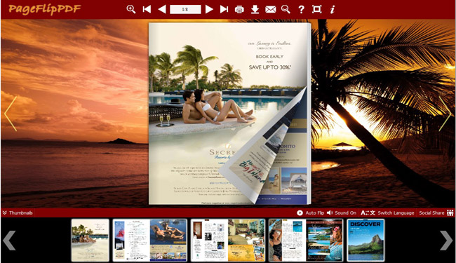 Coconut Palm Flipping Book Theme