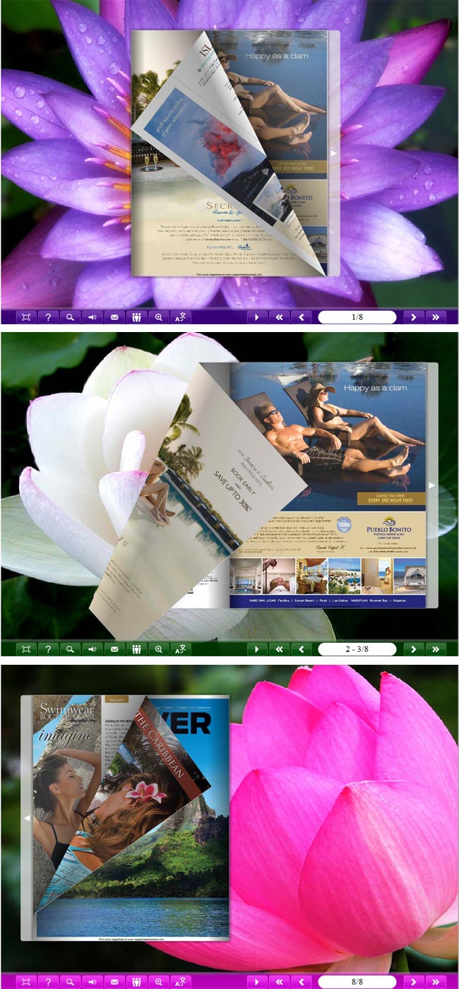 Flipbook_Themes_Package_Classical_Lotus