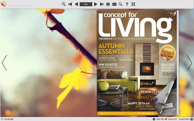 Flip Book Maker Themes for Simple Style