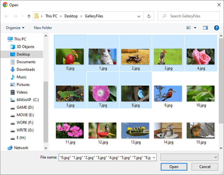 PHP File Uploader
