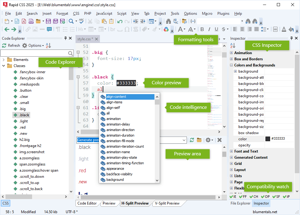 Rapid CSS Editor 2014