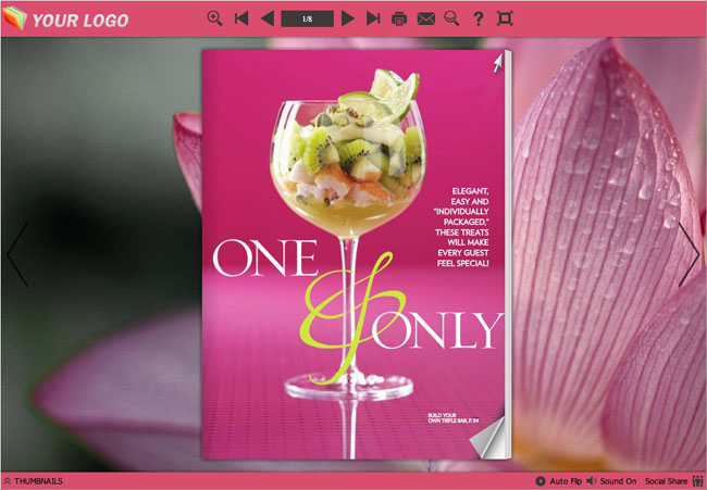 Flash Magazine Themes for Lotus Style