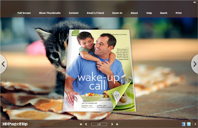 Cats Style Theme for 3D Book