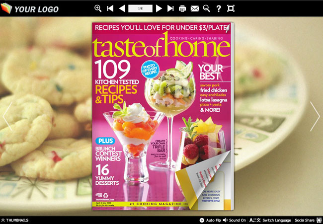 Flash Magazine Themes for Cookies Style