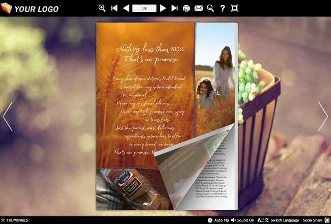 Vigor Theme for eFlip Software