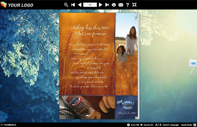 Crossover 2 Theme for eFlip Software