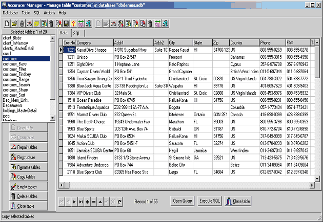 Accuracer Database System VCL
