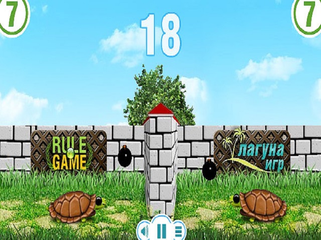 Turtles Battles