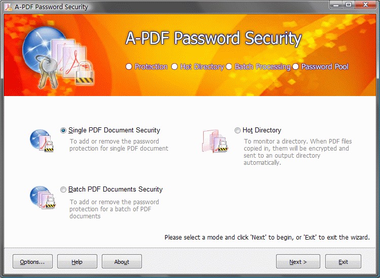 PDF Password Protect