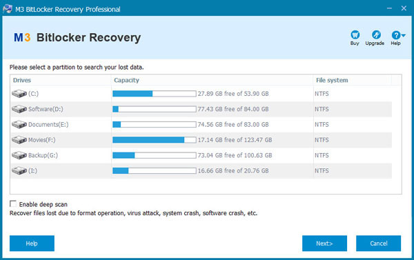 M3 Bitlocker Recovery Professional