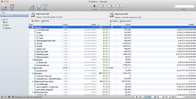 Latest GoodSync for Mac