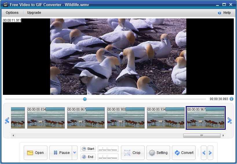 Free Video to GIF Converter