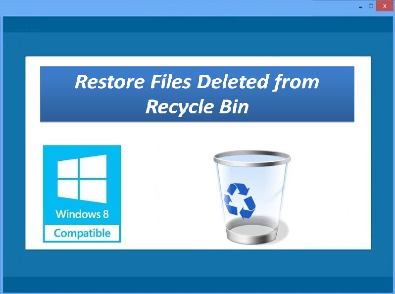 Recycle Bin Recovery