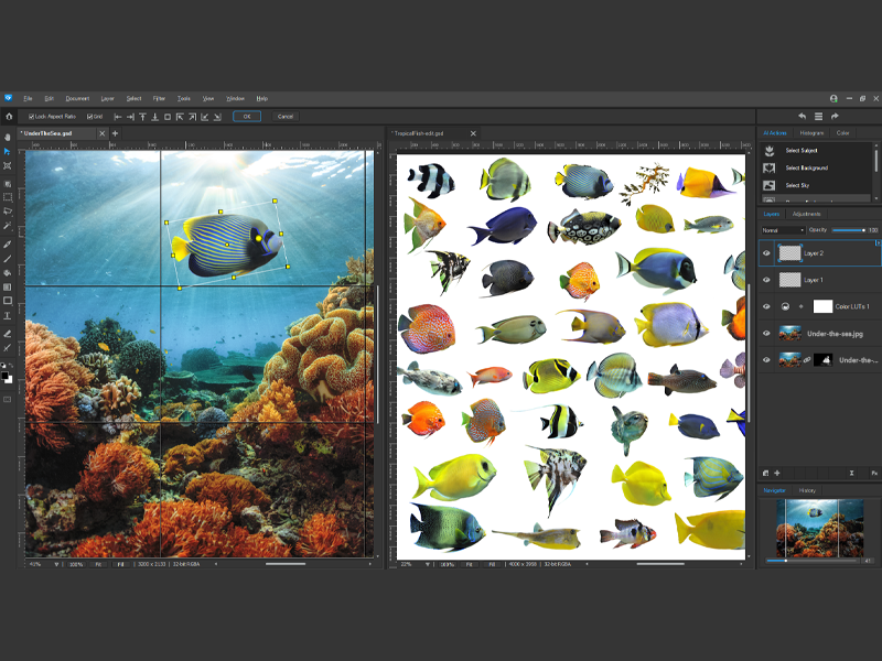 Gemstone, ACDSee, Photo Editor, Editor, Layer Editing, RAW Editing, Multi Document Interface, Graphic Design, Repair Tool, Restoration Tool, Layers